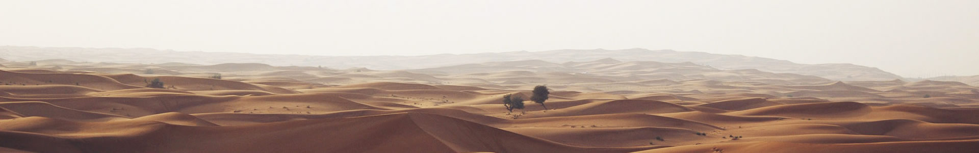 вʢĤṹ޹˾